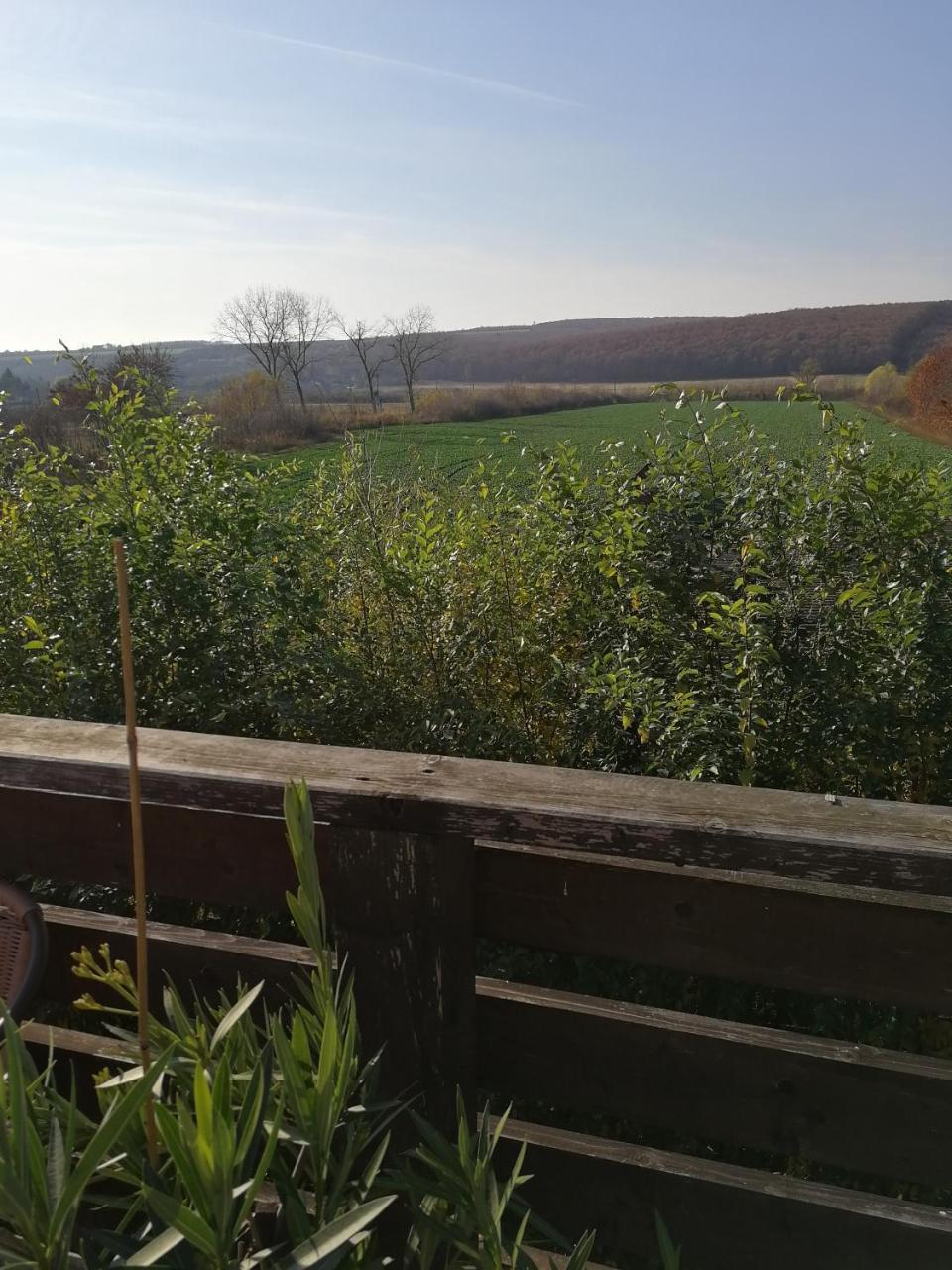 Felsoreti Vendeghaz Demjén Exteriör bild